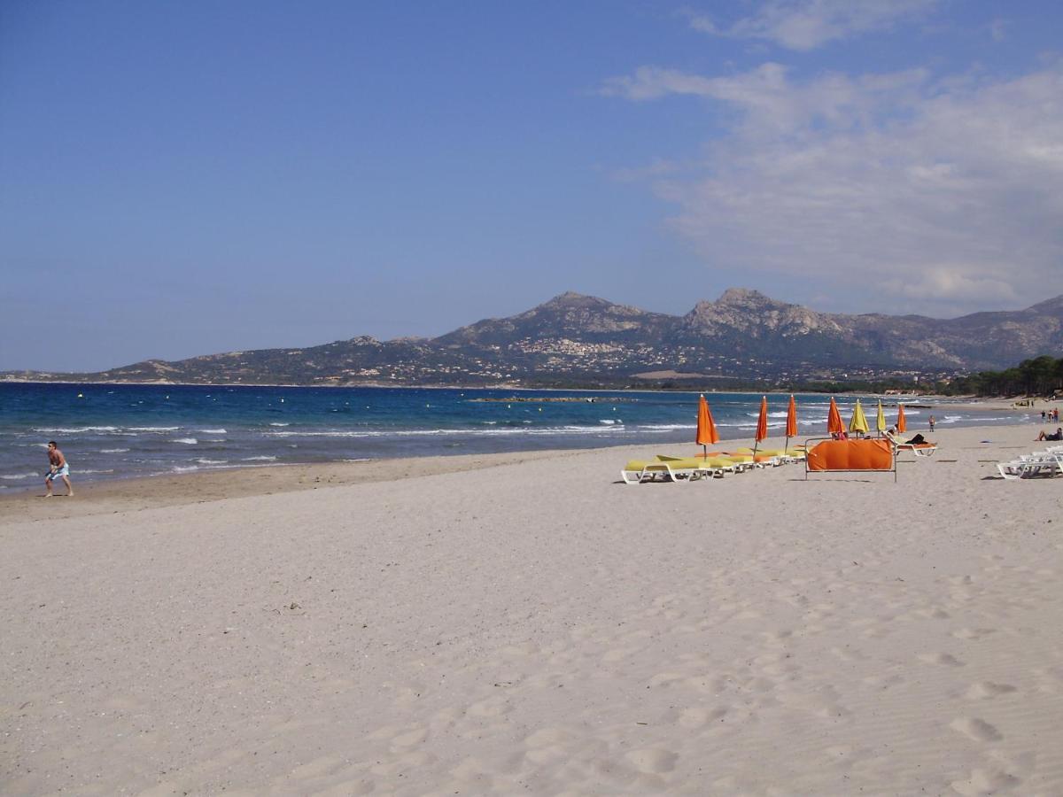 Appartement F1 Calvi A 150 Metres De La Plage Εξωτερικό φωτογραφία