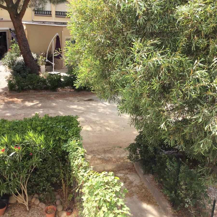 Appartement F1 Calvi A 150 Metres De La Plage Εξωτερικό φωτογραφία